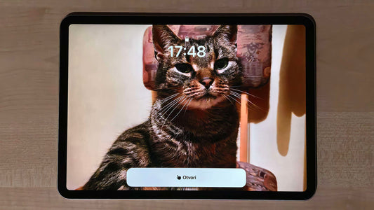 Tako se može pojednostaviti korištenje iPhonea i iPada uz pomoć Olakšanog pristupa