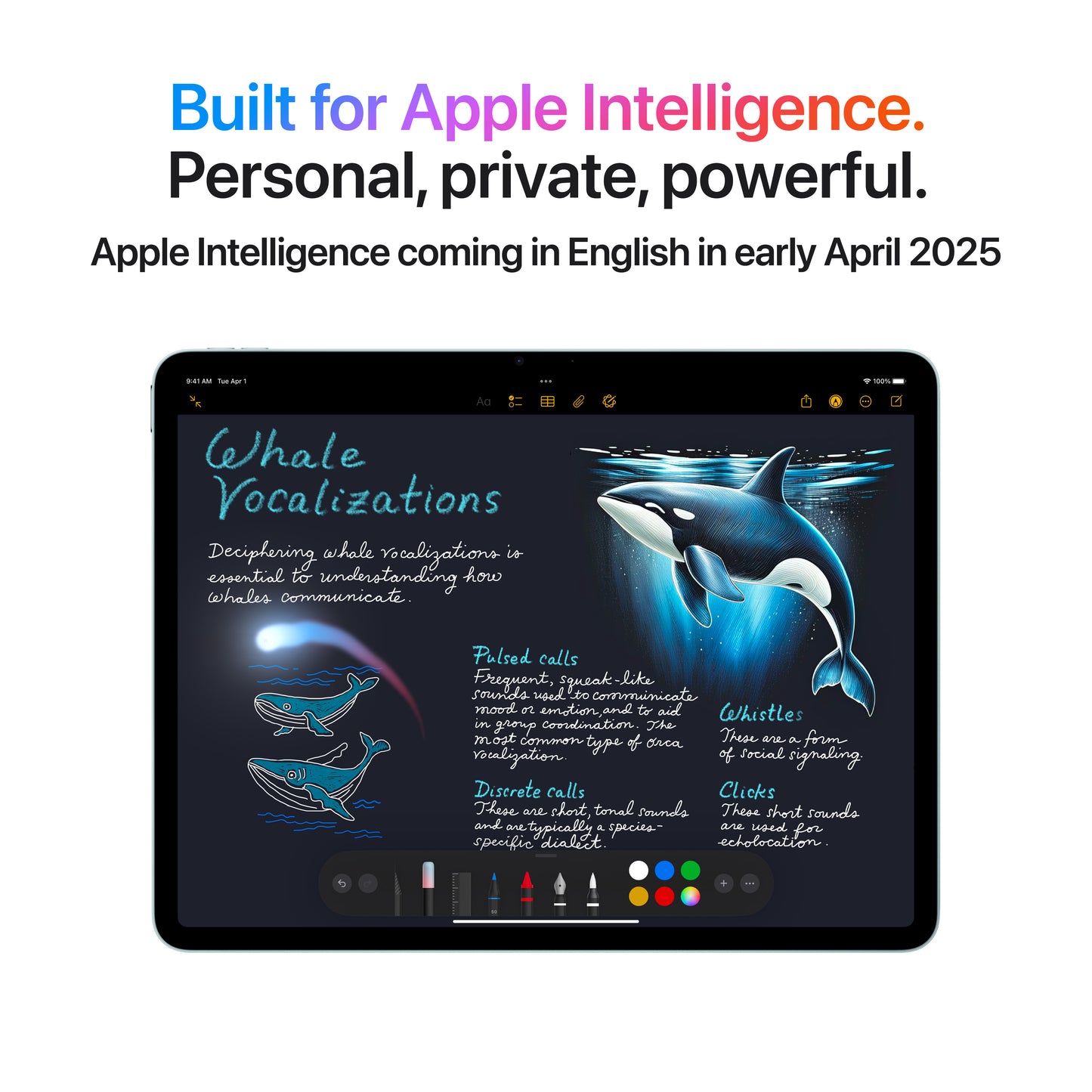 13-inch iPad Air Wi-Fi 1TB - Blue (M3) - iSTYLE.hr