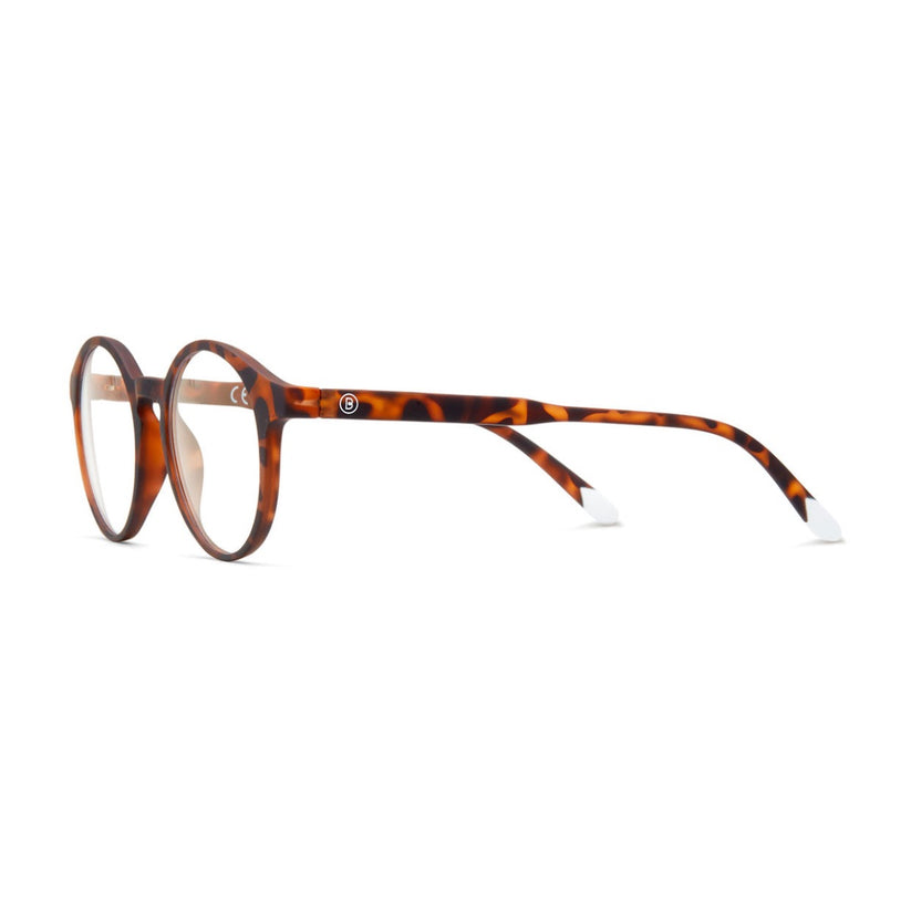 BARNER blue light glasses - Le Marais - Tortoise